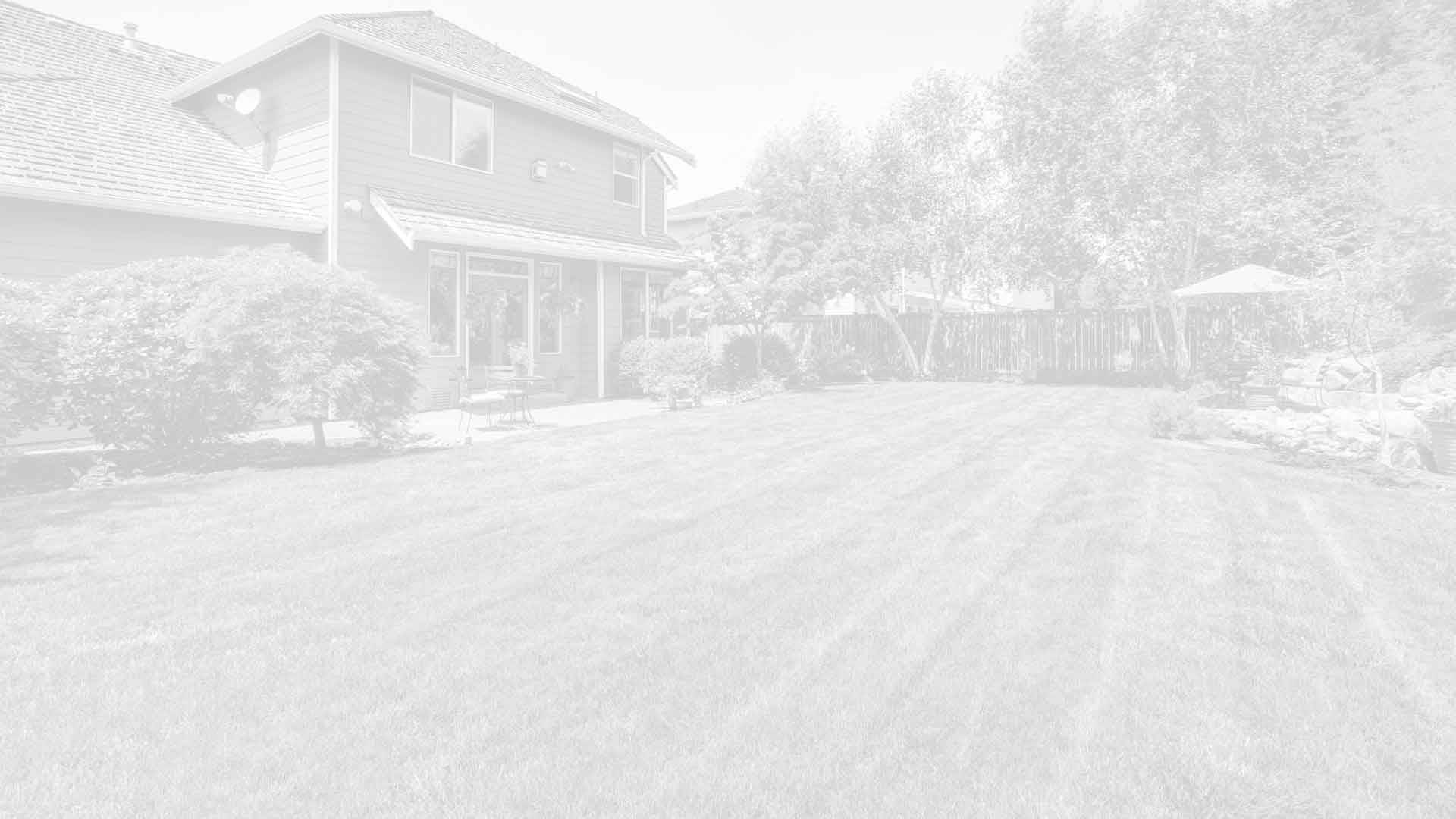 Professionally mowed lawn by Pro Green Grounds Maintenance in Saint Petersburg, FL.