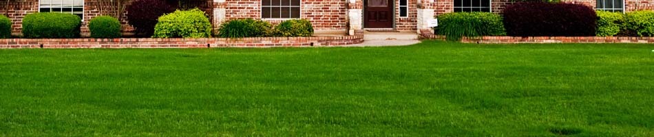 Dark green yard from fertilizing in Saint Petersburg, FL.