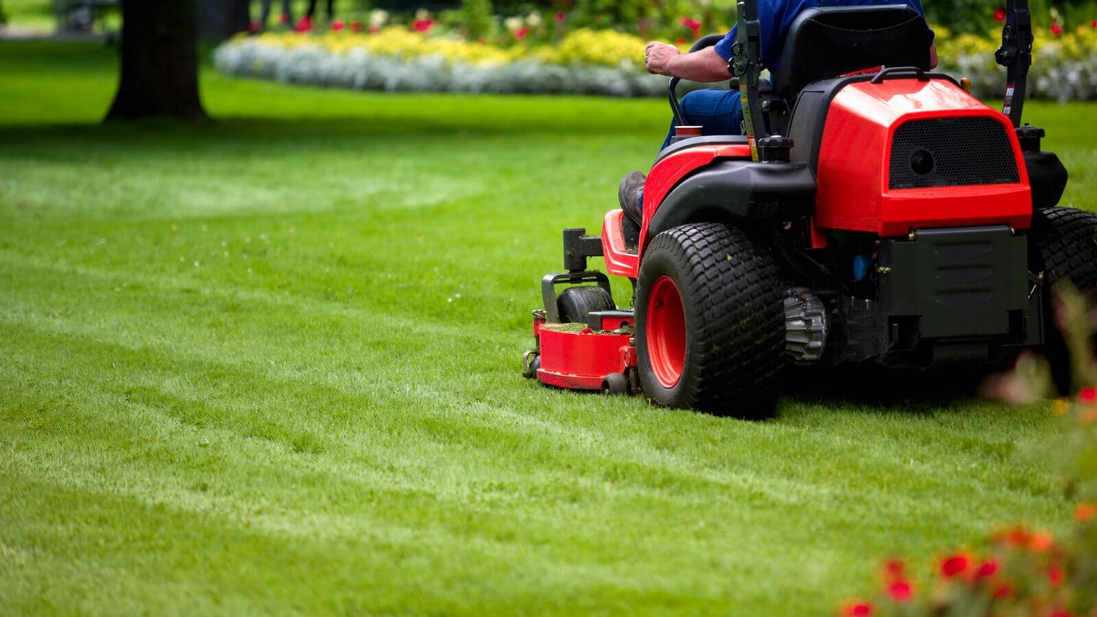 man mowing lawn A person is mowing the grass on a lawn