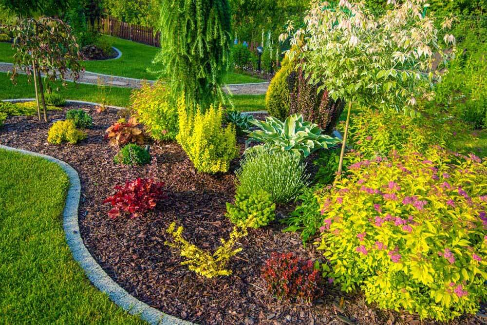 New garden Mulch