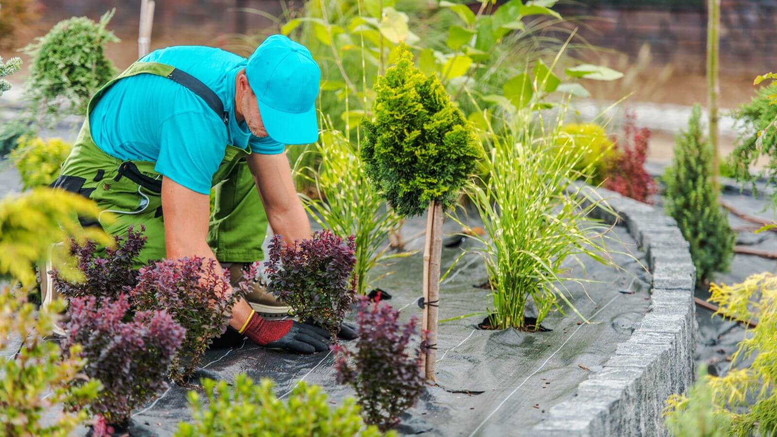 a person working in a garden with plants