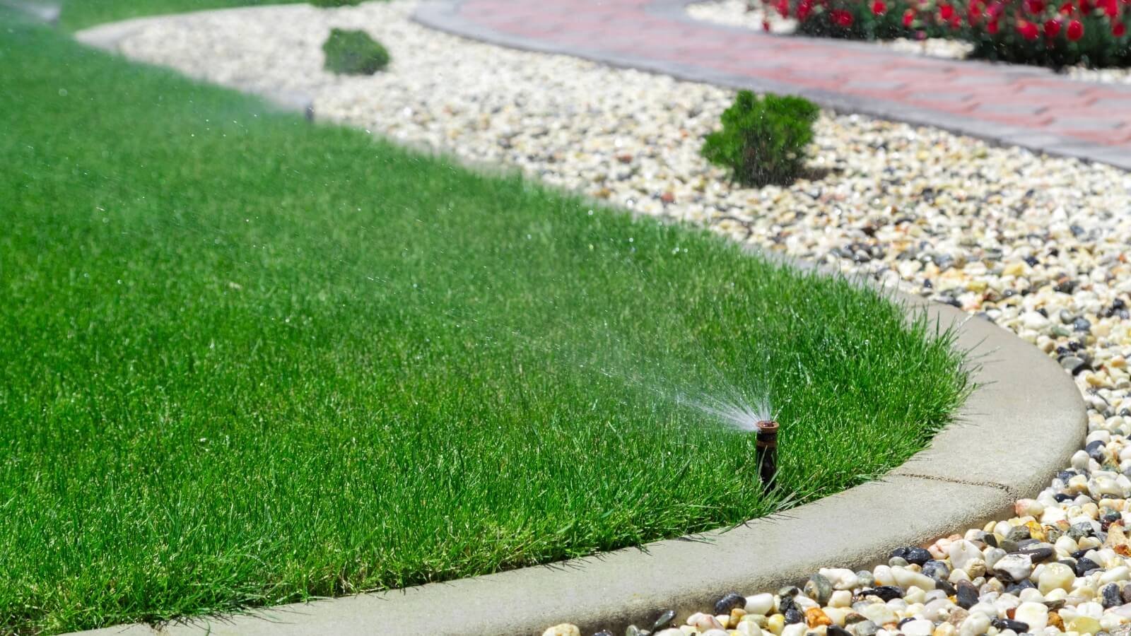 Sprinkler is watering the grass
