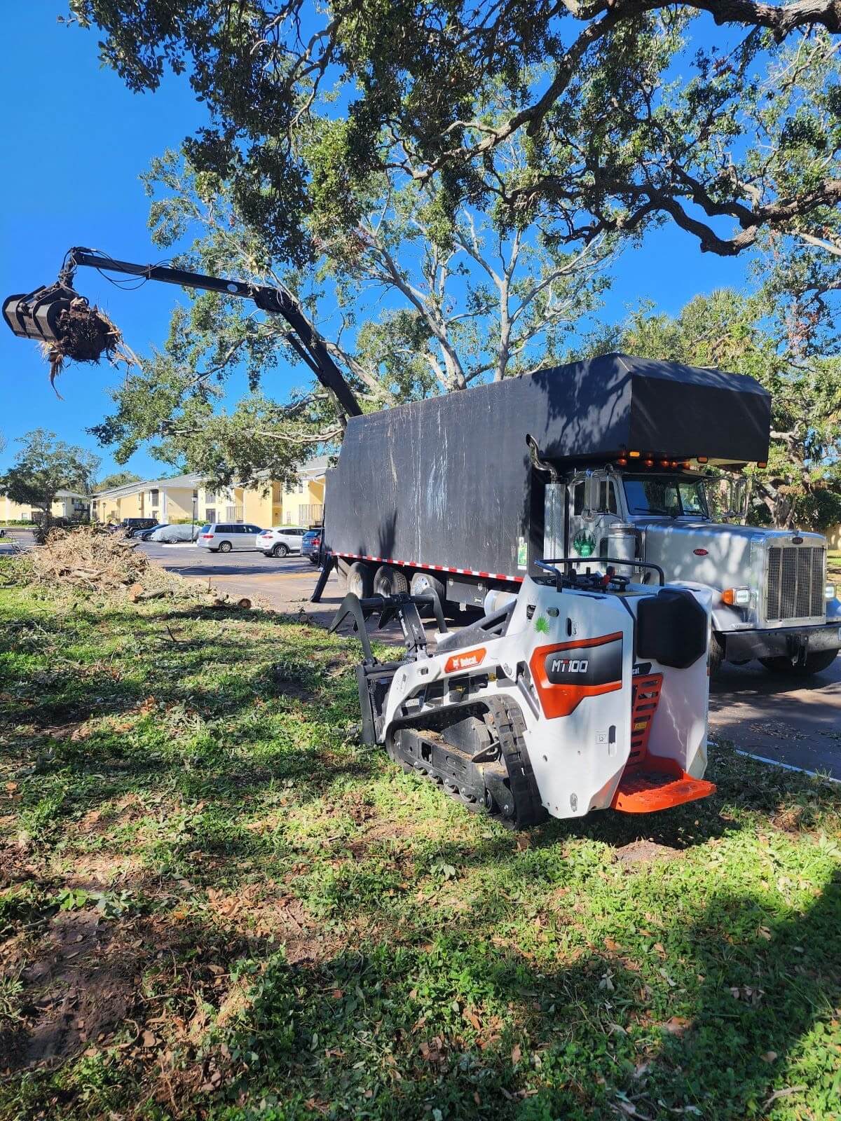 tree removal with bobcat truck