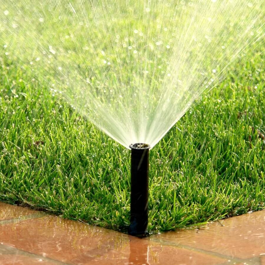 a sprinkler is spraying water on the grass