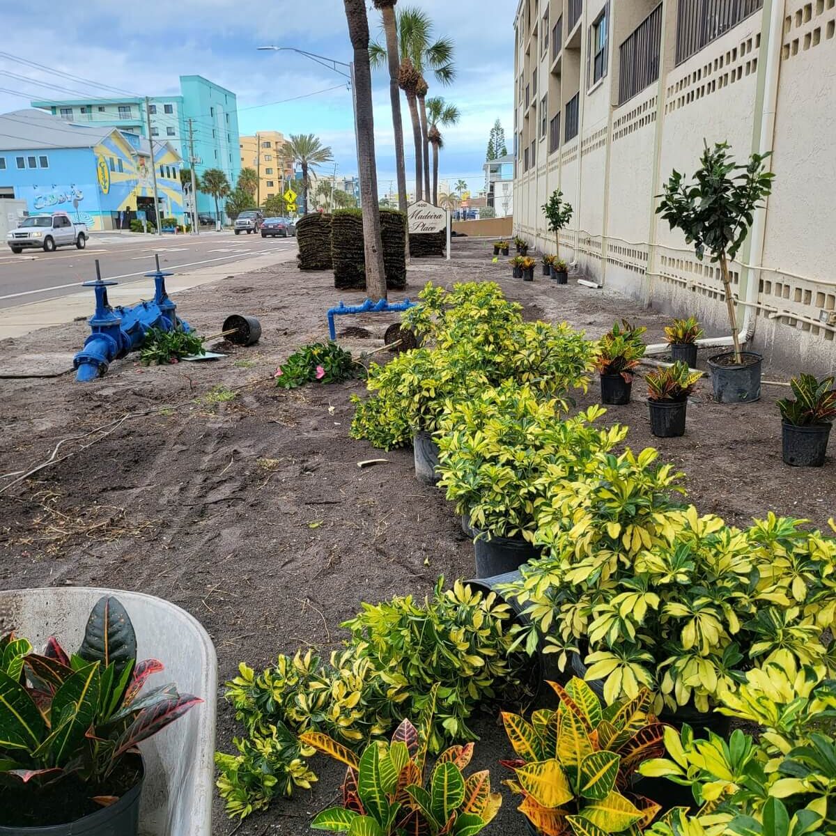 beachside landscaping preparation