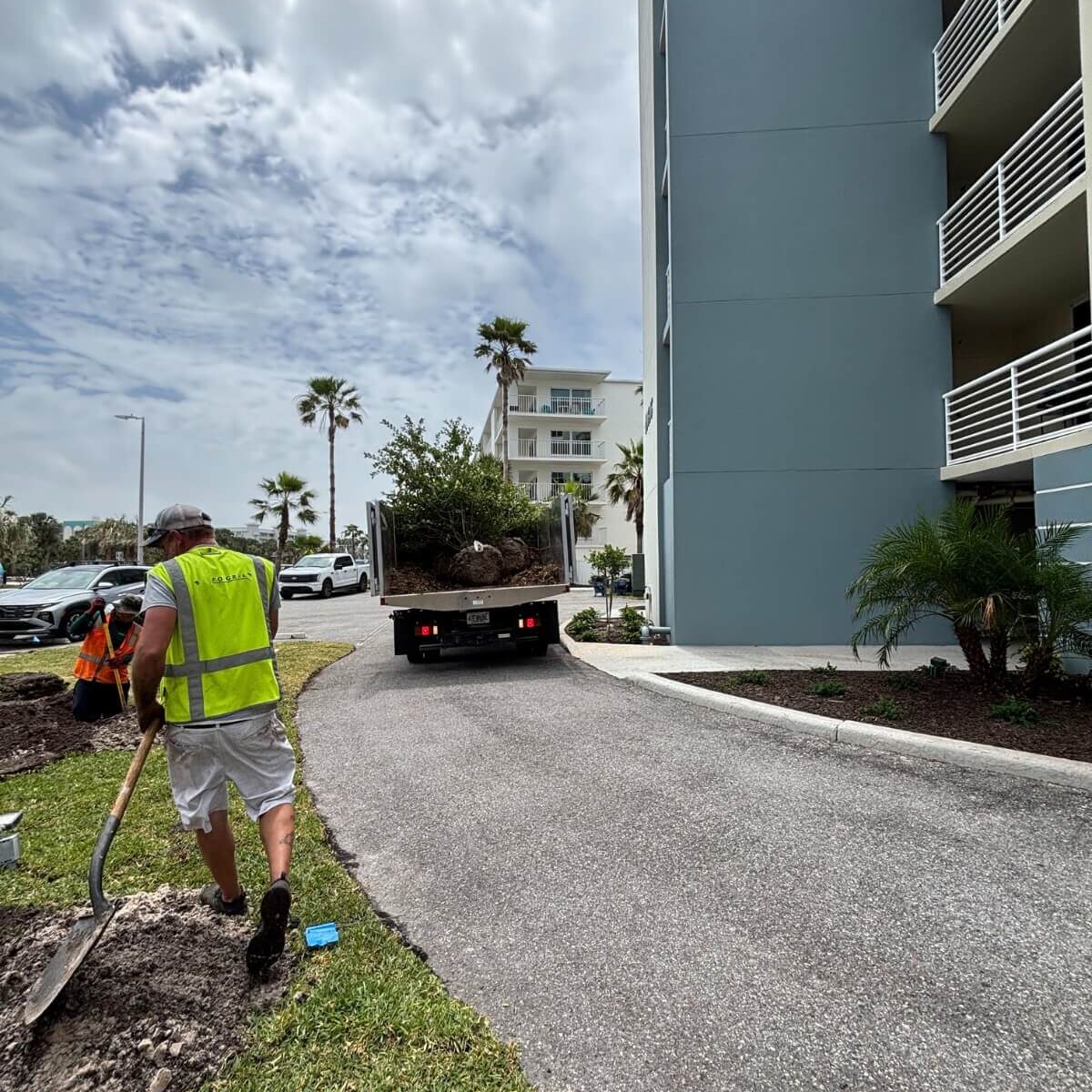 landscape crew installing tree condo