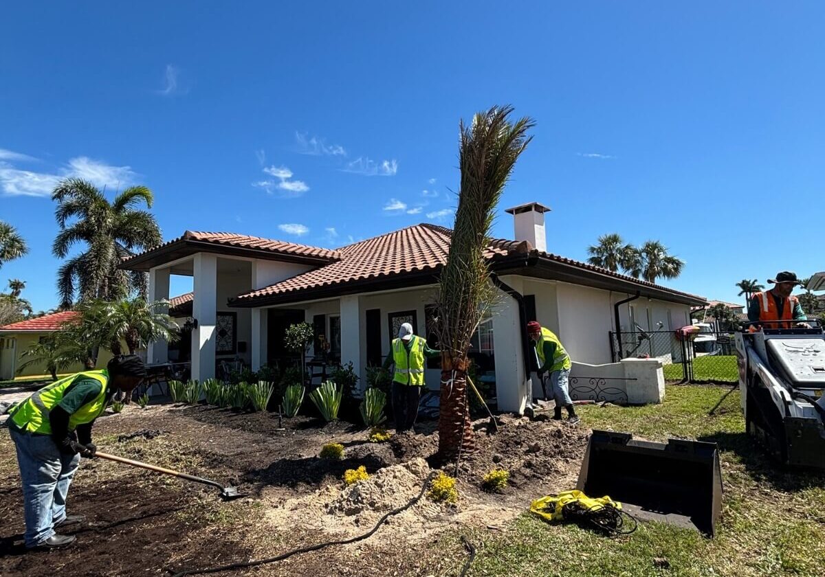 tropical landscape installation residence