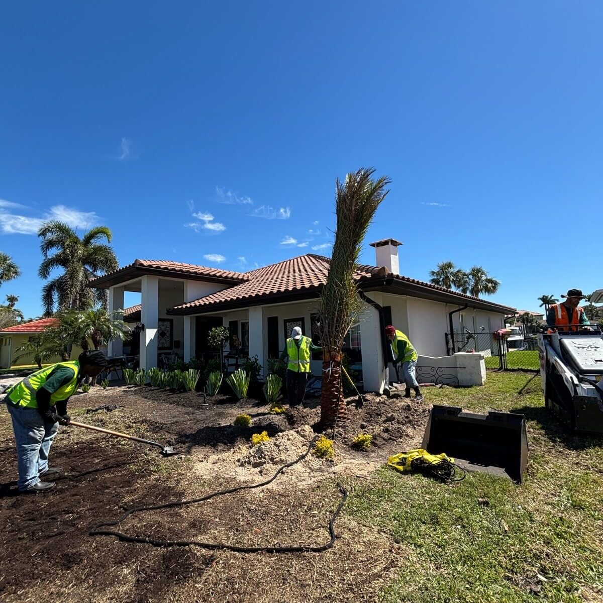 tropical landscape installation residence